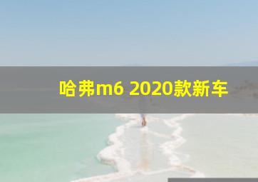 哈弗m6 2020款新车